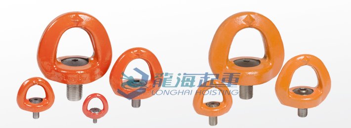 盧森堡SEB型旋轉(zhuǎn)吊環(huán)