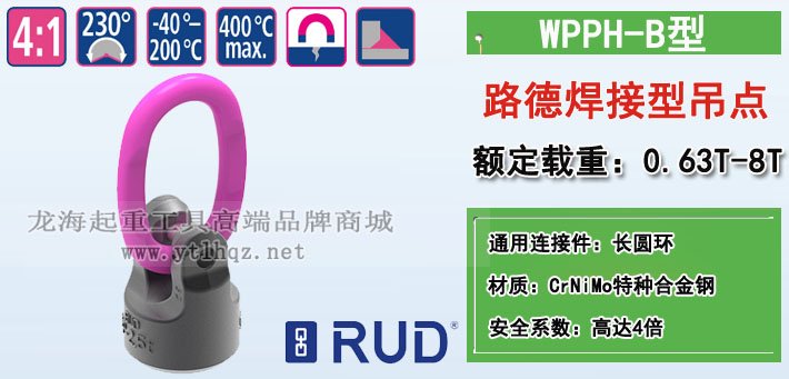 WPPH-B路德焊接型吊環圖片