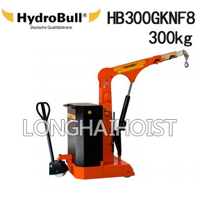 HB300GKNF8小型配重起重機