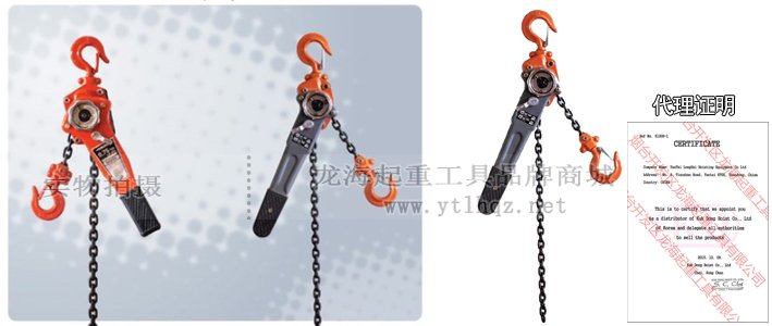 韓國KD進(jìn)口手扳葫蘆