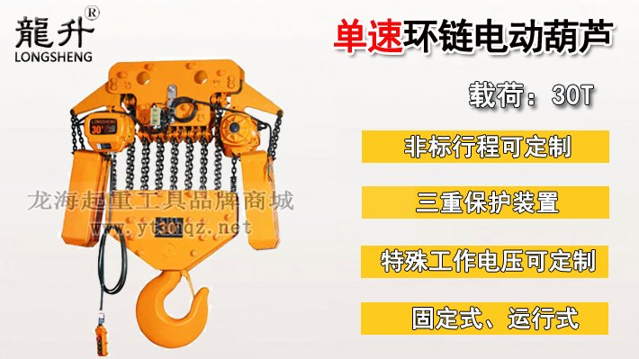 30噸單速環(huán)鏈電動(dòng)葫蘆